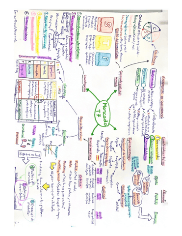 Mapas-mentales-T7-y-8.pdf