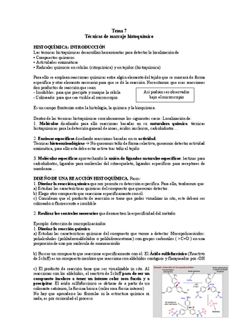 TEMA-7-TC.pdf