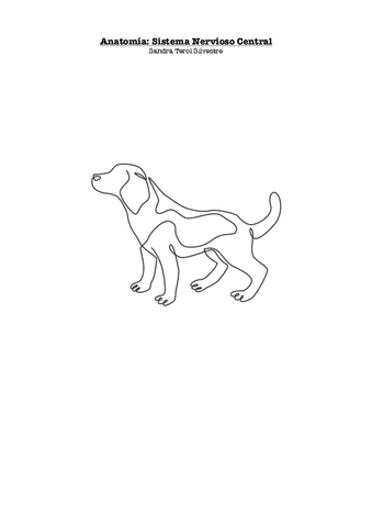 DOC-SALVAR-SNC-fusionado.pdf