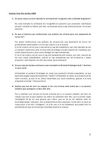 Examen-final-Peu-de-Risc-2018.pdf