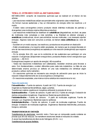TEMA-12-INTRODUCCION-AL-METABOLISMO.pdf