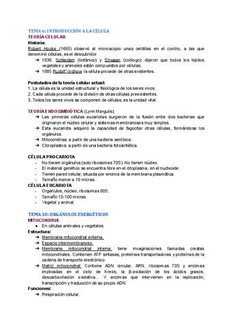 TEMAS-6-7-8-9-10.pdf