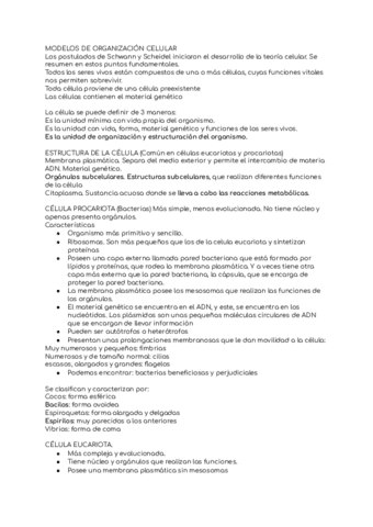 Celulas.pdf