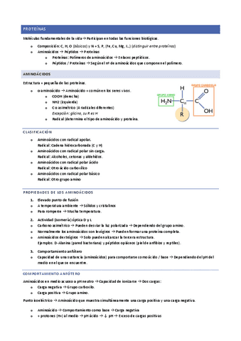 Proteinas-y-celula.pdf
