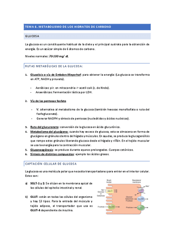Tema-6.-Metabolismo-HC.pdf