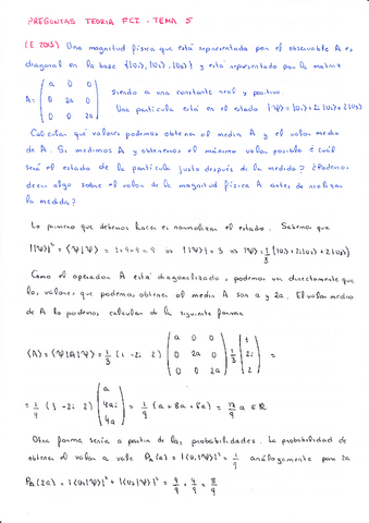 PREGUNTAS-TEORIA-FCI-TEMA-5.pdf