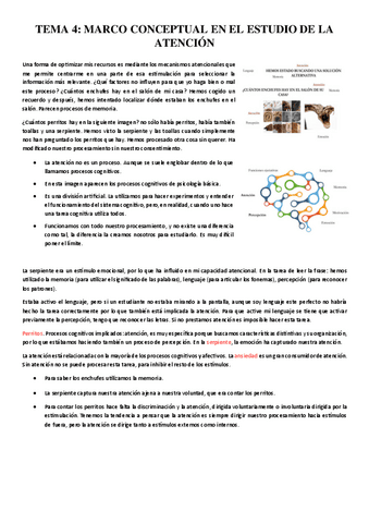 TEMA-4-Marco-conceptual-del-estudio-de-la-atencion.pdf