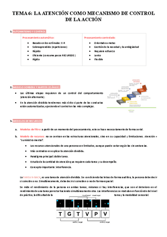 TEMA-6-atencion-como-mecanismo-de-control-de-la-accion.pdf