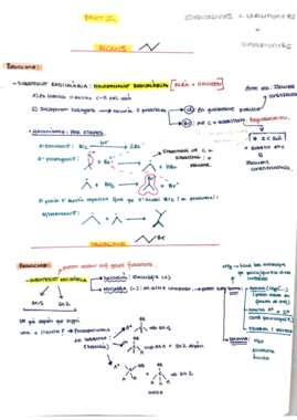 Resum complet totes les reaccions- final.pdf