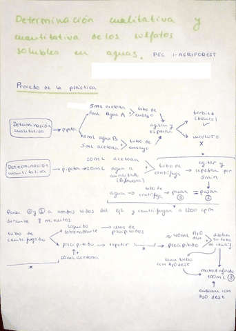 Practica-10-Det-cualitativa-y-cuantitativa-de-los-sulfatos-solubles-en-agua.pdf