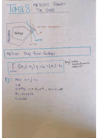 RESUMEN-DEFINITIVO-PROGRAMACION-ENTERA.pdf