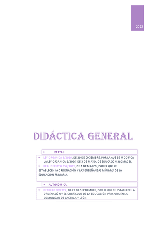 resumen-didactica-todos-los-temas-.pdf