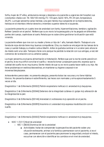 Caso-Practicum-II.pdf