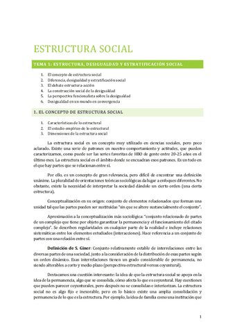 ESTRUCTURA-SOCIAL.pdf