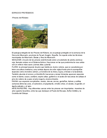 Jesus-David-Ruiz-Rodriguez-TAREA-1-ESPACIOS-PROTEGIDOS.pdf