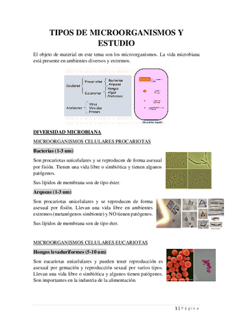 TIPOS-DE-MICROORGANISMOS-Y-ESTUDIO.pdf