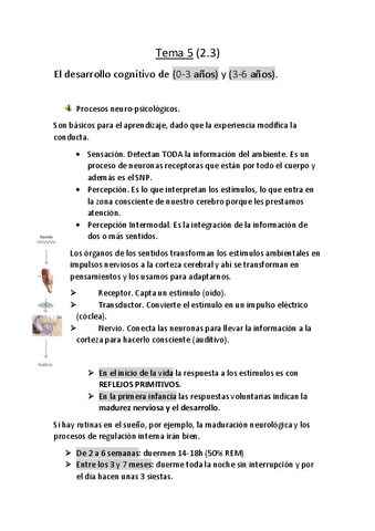 Tema-5(2.3)psico.pdf