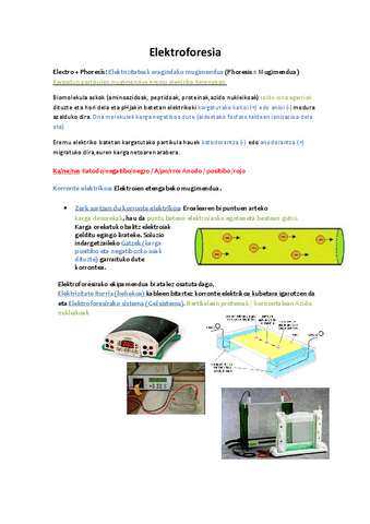 Elektroforesia.pdf