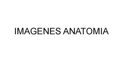 IMAGENES-ANATOMIA.pdf