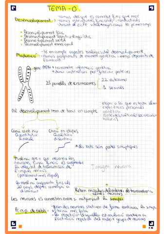 Temario-completo-psico.pdf