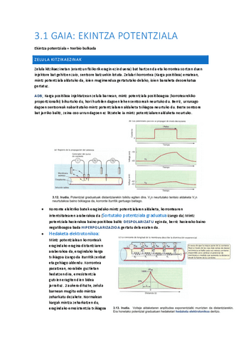 03.1-Ekintza-potentziala.pdf