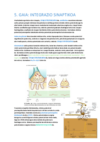 05-Integrazio-Sinaptikoa.pdf