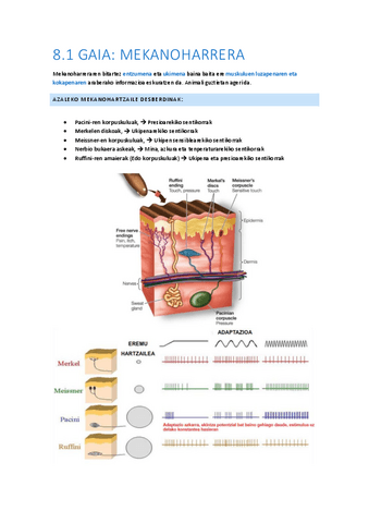 08.1-Mekanoharrera.pdf