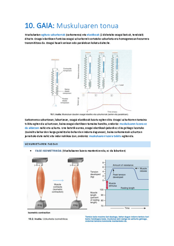 10.-Muskuluen-tonua.pdf