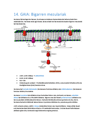 14-Bigarren-mezulariak.pdf