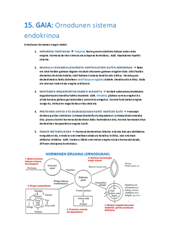 15-Ornodunen-sistema-endokrinoa.pdf