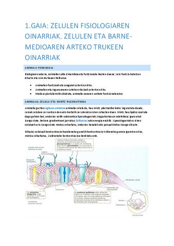 Animali-fisiologia-1.-gaia.pdf