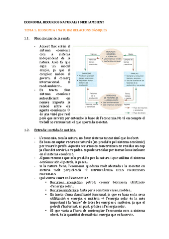 Apuntseconomia.pdf