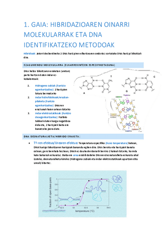 0-1Hibridazioaren-oinarri-molekularrak-eta-DNA-identifikatzeko-metodoak.pdf