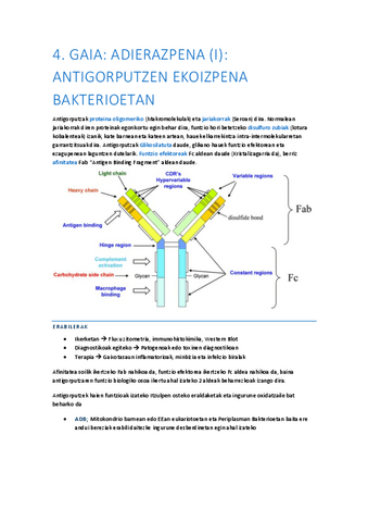 04-Adierazpena-I-Antigorputzen-ekoizpena-bakterioetan.pdf
