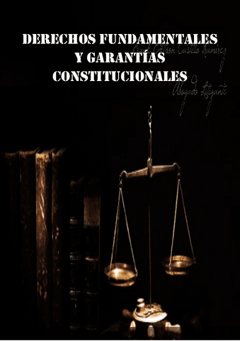 derecho fundamentales y garantias constitucionales de Lilian G..pdf