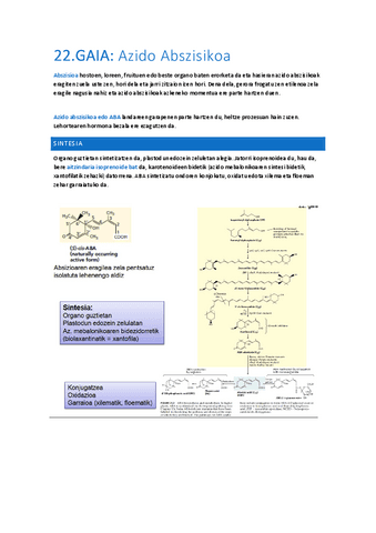 Azido-Abszizikoa.docx.pdf