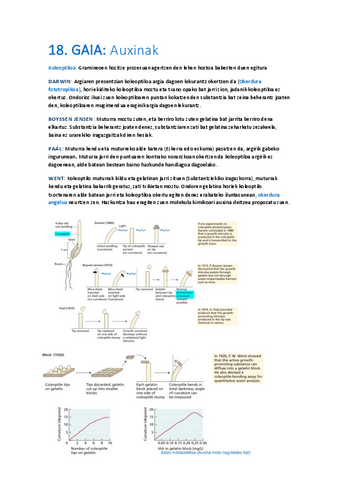 18-Auxinak.pdf