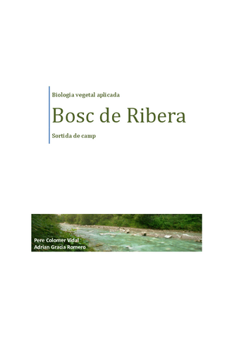 BOSCDERIVERA.pdf