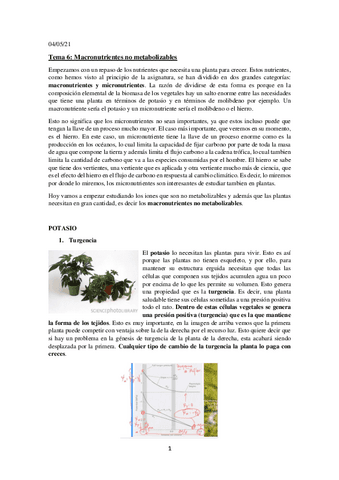 Tema-6.-Macronutrientes.pdf
