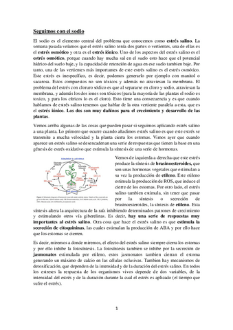 Tema-7.pdf