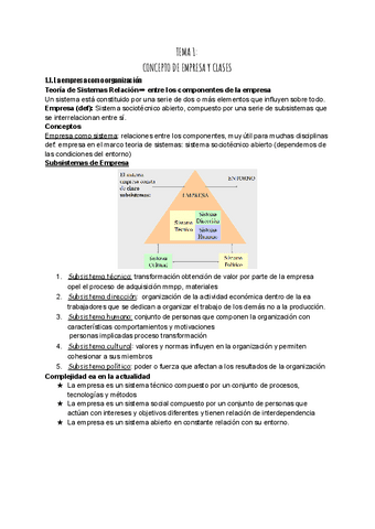 ORGANIZACION-DE-EMPRESAS-APUNTES-TODOS-LOS-TEMAS.pdf
