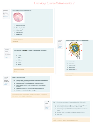 Embriologia-Examen-Online-Practica-7.pdf