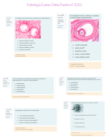 Embriologia-Examen-Practica-4-Online-2022.pdf