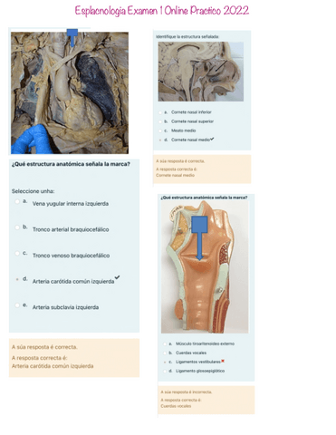 Esplacnologia-Examen-1-Online-Practico-2022.pdf