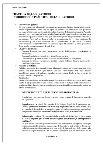 PRACTICA-DE-LAB-I.pdf