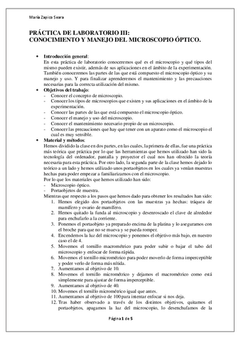 PRACTICA-DE-LAB-III.pdf