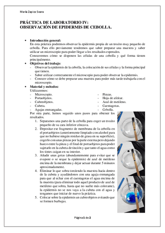 PRACTICA-DE-LAB-IV.pdf
