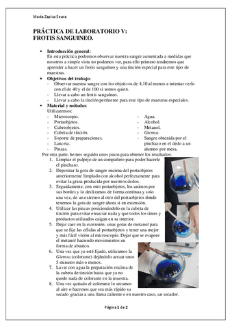 PRACTICA-DE-LAB-V.pdf
