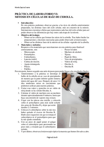 PRACTICA-DE-LAB-VI.pdf