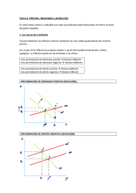 Tema 6.pdf